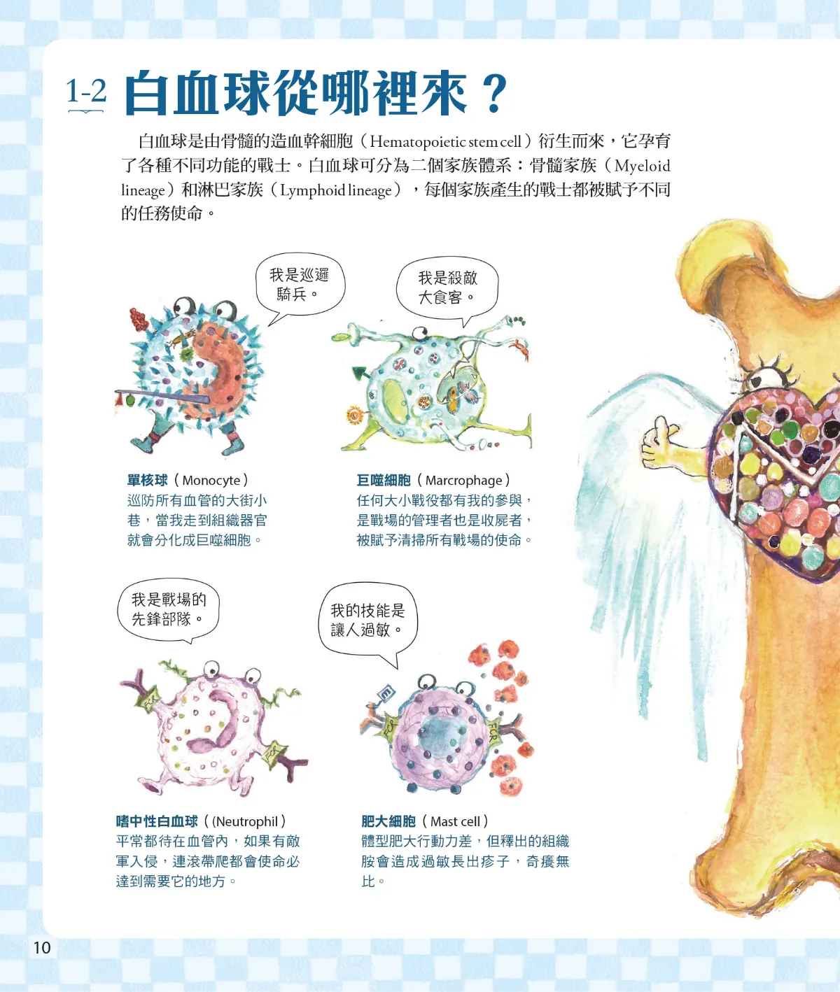 召喚免疫戰士 第 12 頁：1-2　白血球從哪裡來？