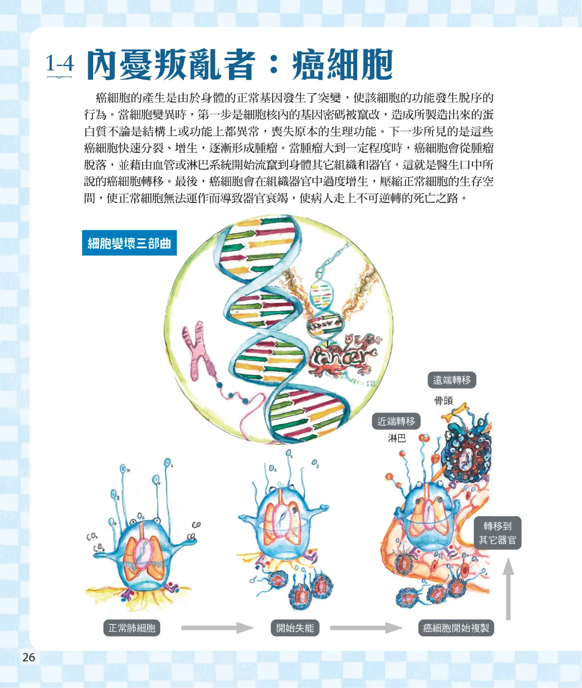 召喚免疫戰士 第 28 頁：1-4　內憂叛亂者：癌細胞