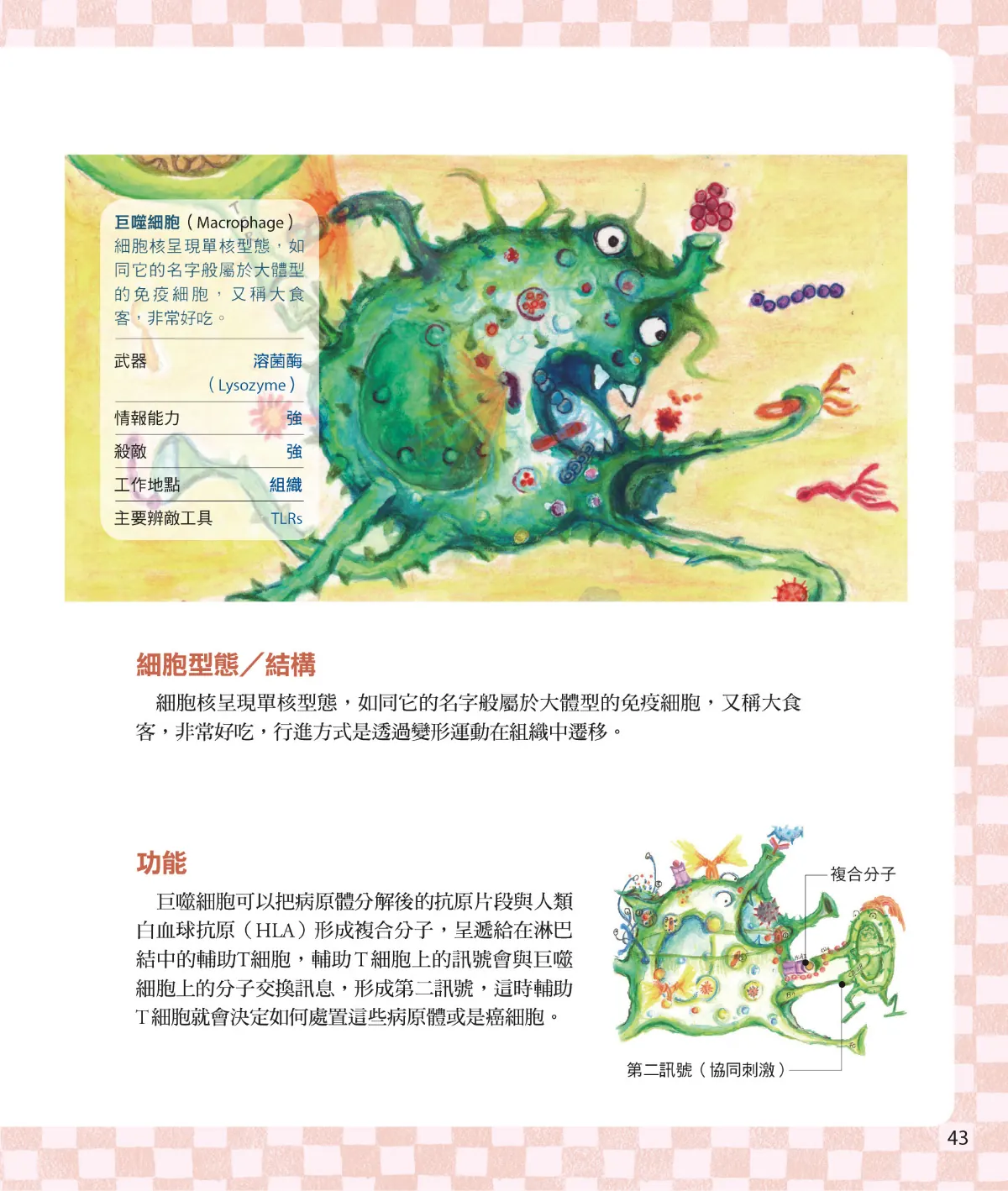 召喚免疫戰士 第 45 頁