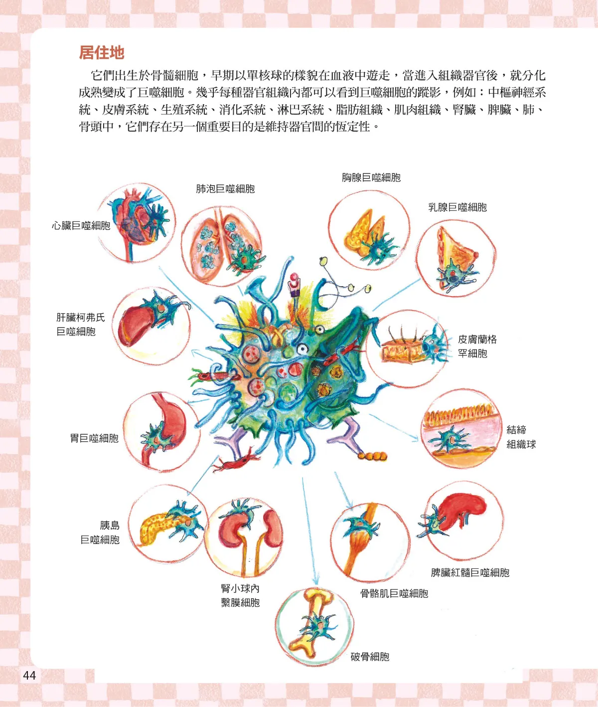 召喚免疫戰士 第 46 頁