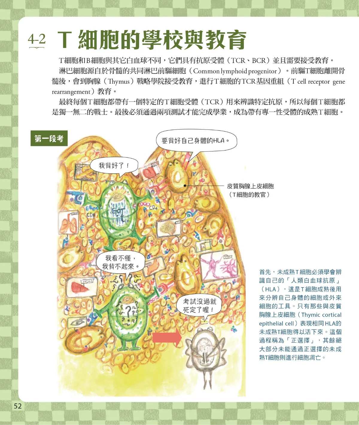 召喚免疫戰士 第 54 頁：4-2　T細胞的學校與教育