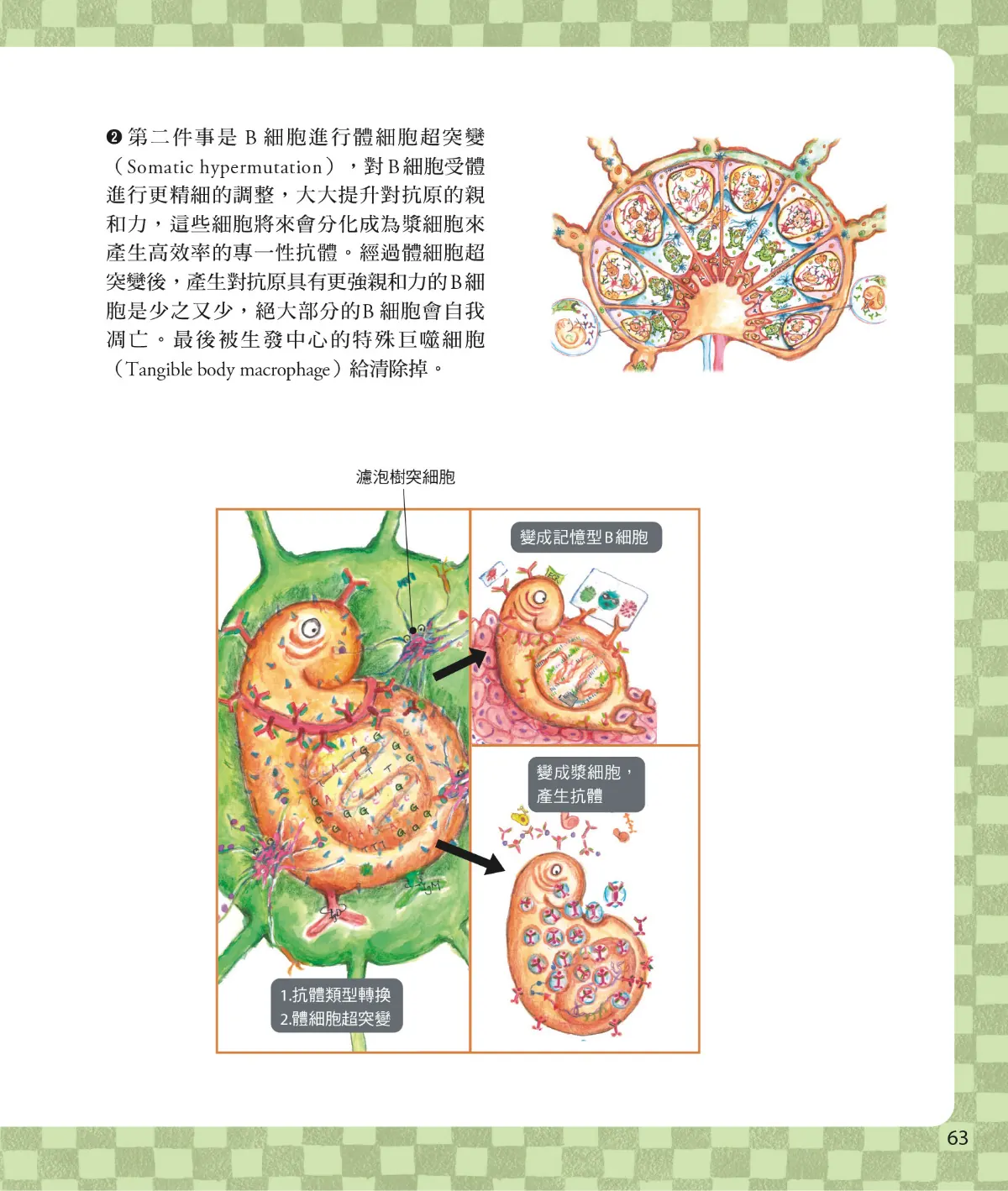 召喚免疫戰士 第 65 頁