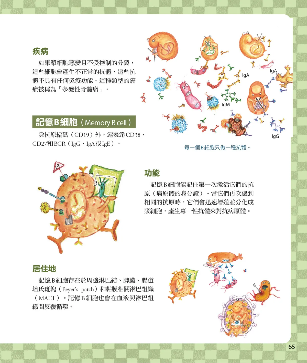 召喚免疫戰士 第 67 頁