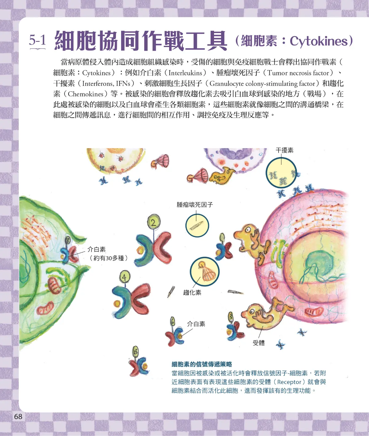 召喚免疫戰士 第 70 頁：5-1　細胞協同作戰工具