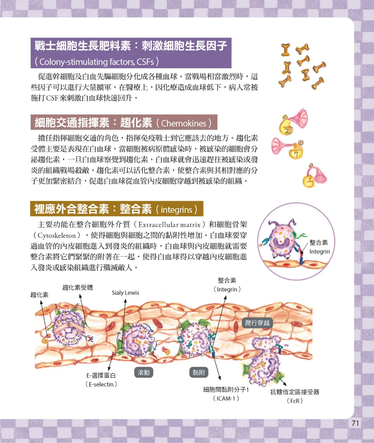 召喚免疫戰士 第 73 頁