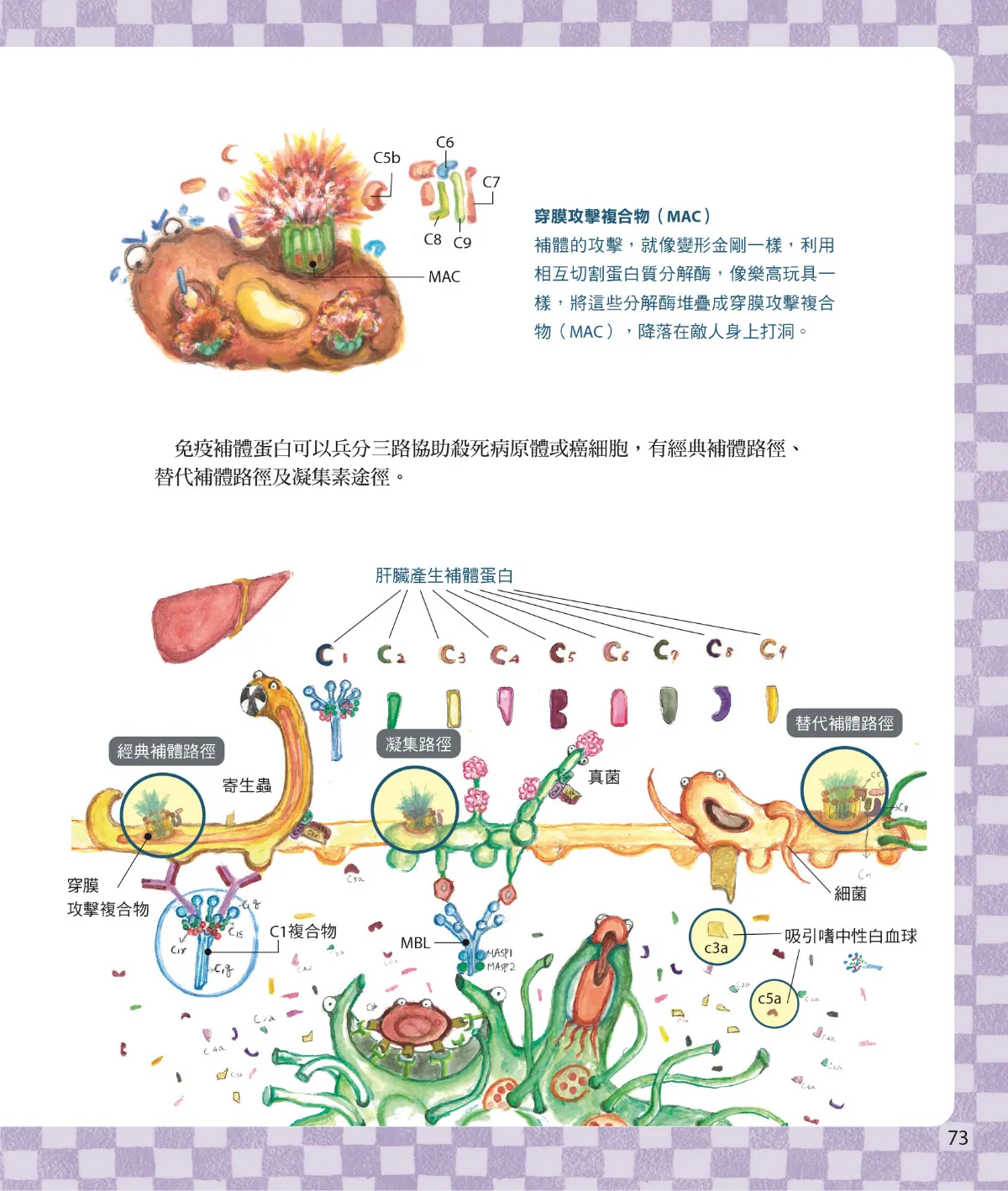 召喚免疫戰士 第 75 頁