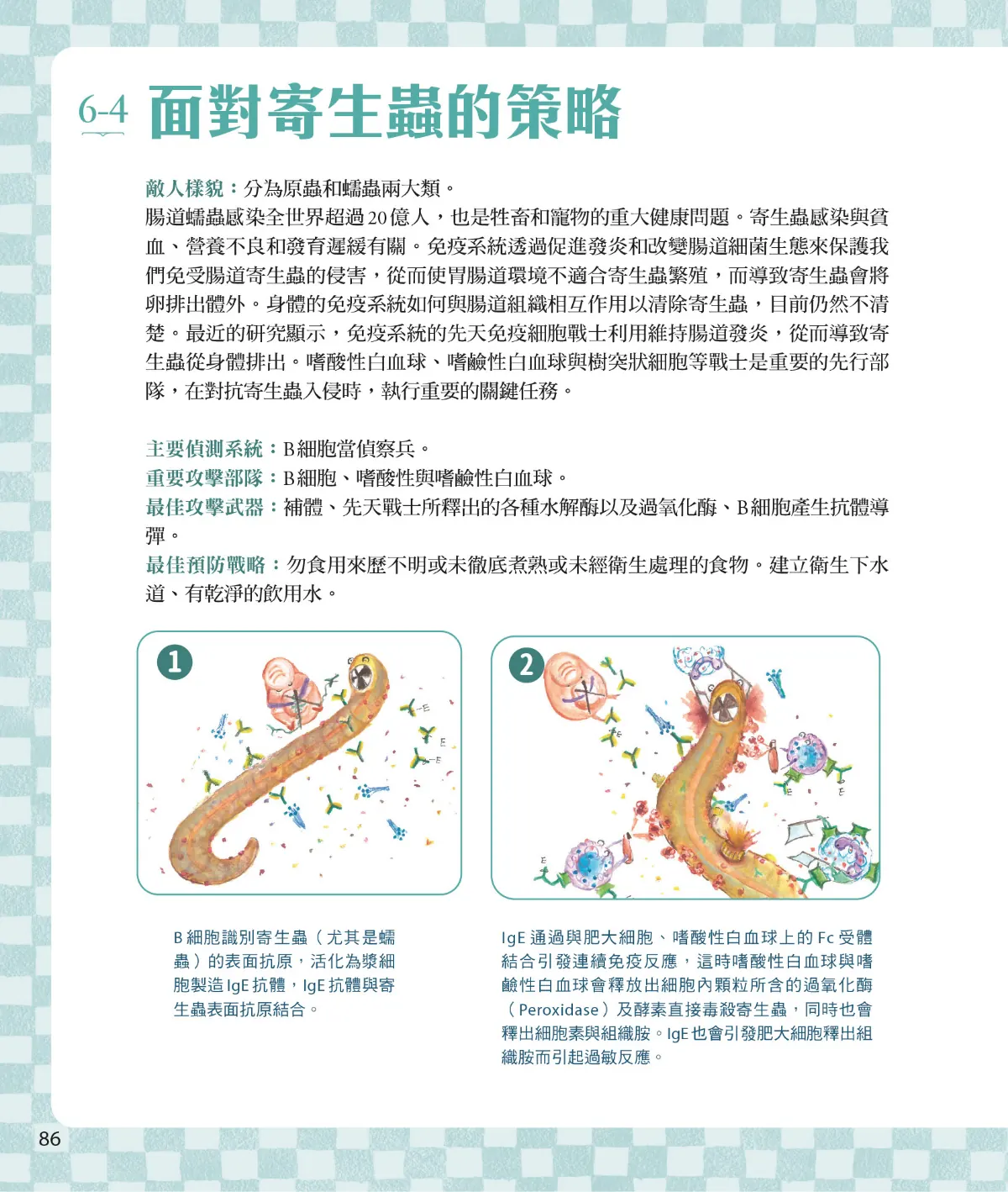 召喚免疫戰士 第 88 頁：6-4　面對寄生蟲的策略